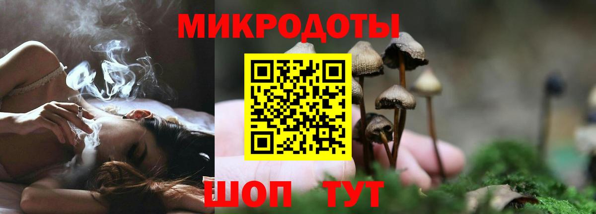 Галлюциногенные грибы Cubensis Боровичи